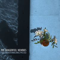 The DangerFeel Newbies - Coolside