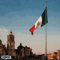 DJ Zone - Mexico Party (Explicit)