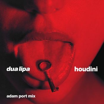 Dua Lipa - Houdini (Adam Port Mix)