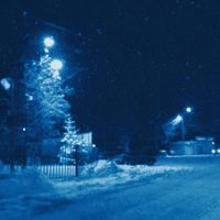 tim - Midnight