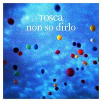 Tosca - NON SO DIRLO (Algo Contigo)