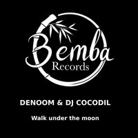 Denoom, Dj Cocodil - Walk Under The Moon