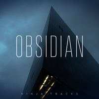 Ninja Tracks - Obsidian