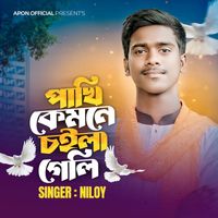 Niloy - Pahki Kamne Choila Gali