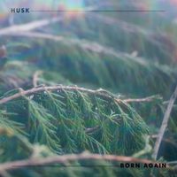 Husk - Born Again
