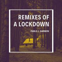 Pablo J. Garmon - Remixes of a Lockdown