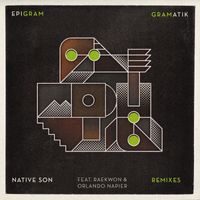 Gramatik - Native Son Remixes