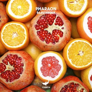 Pharaon - Barcarena