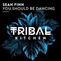 Sean Finn - You Should Be Dancing