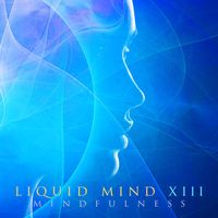 Liquid Mind - Liquid Mind XIII: Mindfulness