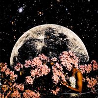 Viz - Flowers on the Moon - EP (Explicit)