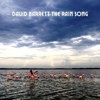 David Barrett - The Rain Song