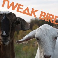 Tweak Bird - Forget 'Em