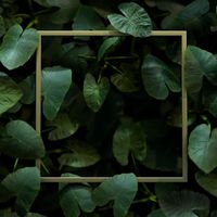 Jair Guerrero - Simplicity (Explicit)