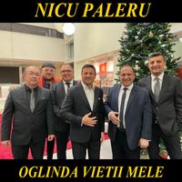 Nicu Paleru - Oglinda Vietii Mele
