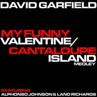 David Garfield - My Funny Valentine / Cantelope Island