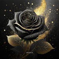 Chrisma - Schwarze Rose