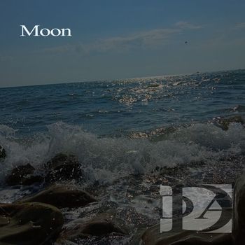 Various Artists - Moon