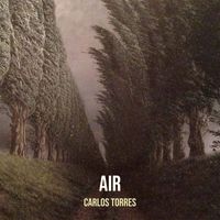 Carlos Torres - Air