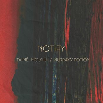 Notify - Tá Mé I Mo Shuí / Murray's Potion (feat. Niall McCabe)