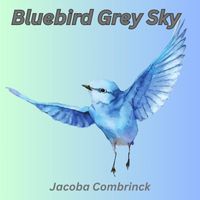 Jacoba Combrinck - Bluebird Grey Sky
