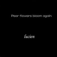 Lucien - Pear Flowers Bloom Again