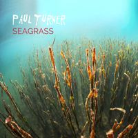 Paul Turner - Seagrass