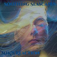 MIK's Reaction - Soothing Seascapes