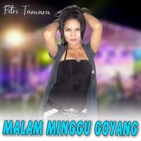 Fitri Tamara - Malam Minggu Goyang