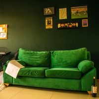 Mandarina Extrema - un departamento con paredes verdes (Explicit)