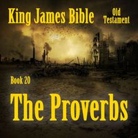David Z. Goode - King James Bible, Book 20: The Proverbs (Explicit)