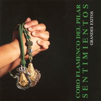 Coro Flamenco del Pilar - Sentimientos Grandes Exitos