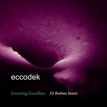 eccodek - Greeting Goodbye (DJ Brahms Remix)