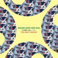Organic Noise From Ibiza - The Right Moment
