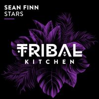 Sean Finn - Stars (Extended Mix)