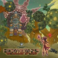 Hexagon 25 - The Passages Of Times