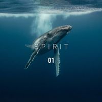 Sounds Of The Sea - Spirit 01