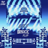 Brixx - WNTD