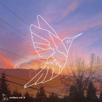 Various Artists - AMFLARA, vol. 2