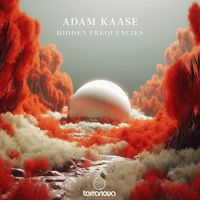Adam Kaase - Hidden Frequencies