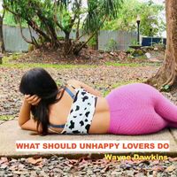 Wayne Dawkins - What Should Unhappy Lovers Do