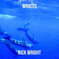 Rick Wright - Whales