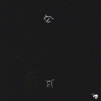 Sav-E - Between The Lines