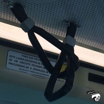 Moogie Fox - Fiery Tone