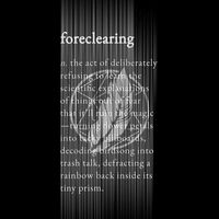 Neezi - _foreclearing