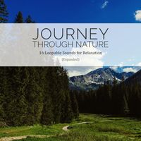Path to the Wild - Journey Through Nature (Expanded): 16 Loopable Sounds for Relaxation