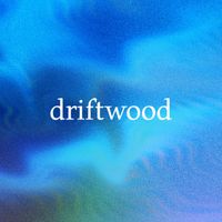 Driftwood - waves for studying (ocean)