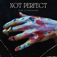 Eish - Not Perfect (feat. ViDOOSHAK)