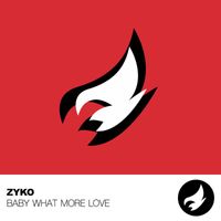 zyko - Baby What More Love