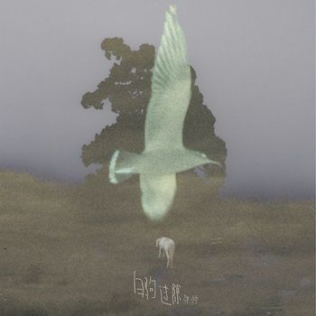 邵帅 - 白驹过隙